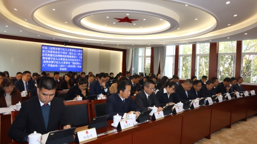 常委会会议照片 (4)